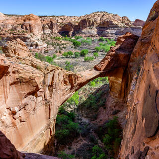 Escalante Natural Bridge