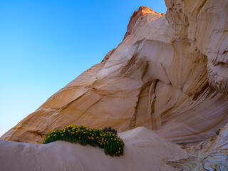 The Great Chamber #2