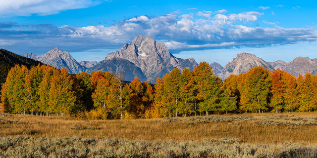 Shades of Autumn and Mount Moran print