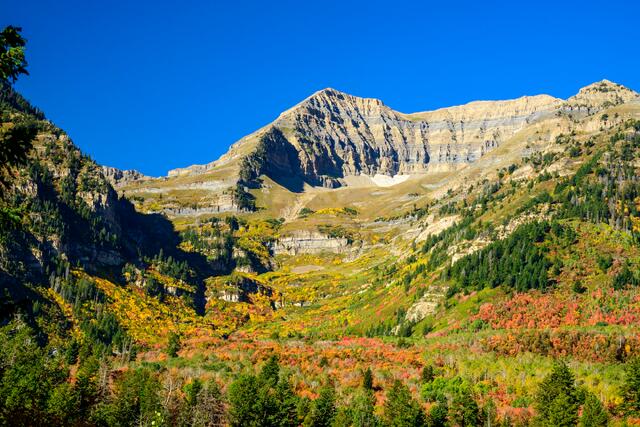 Mt. Timpanogas #1 print