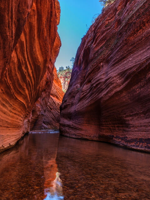 Parunuweap Canyon #2 print