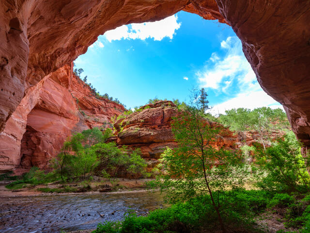 Alcove on the Virgin print