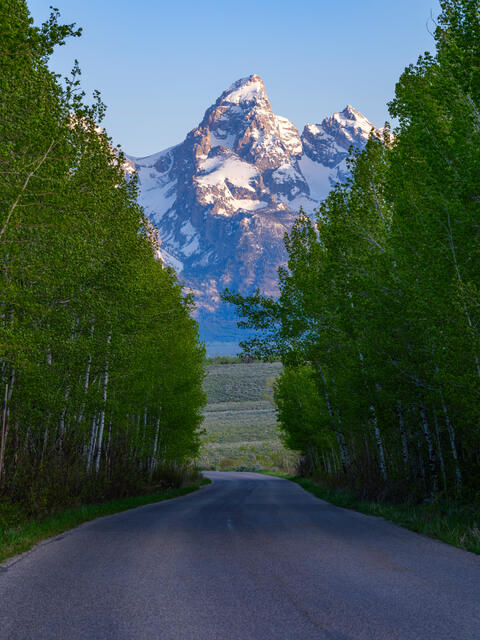 Gros Ventre River Road View print