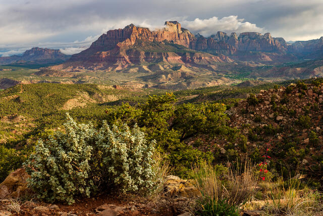 Zion's Southern Vista #1 print