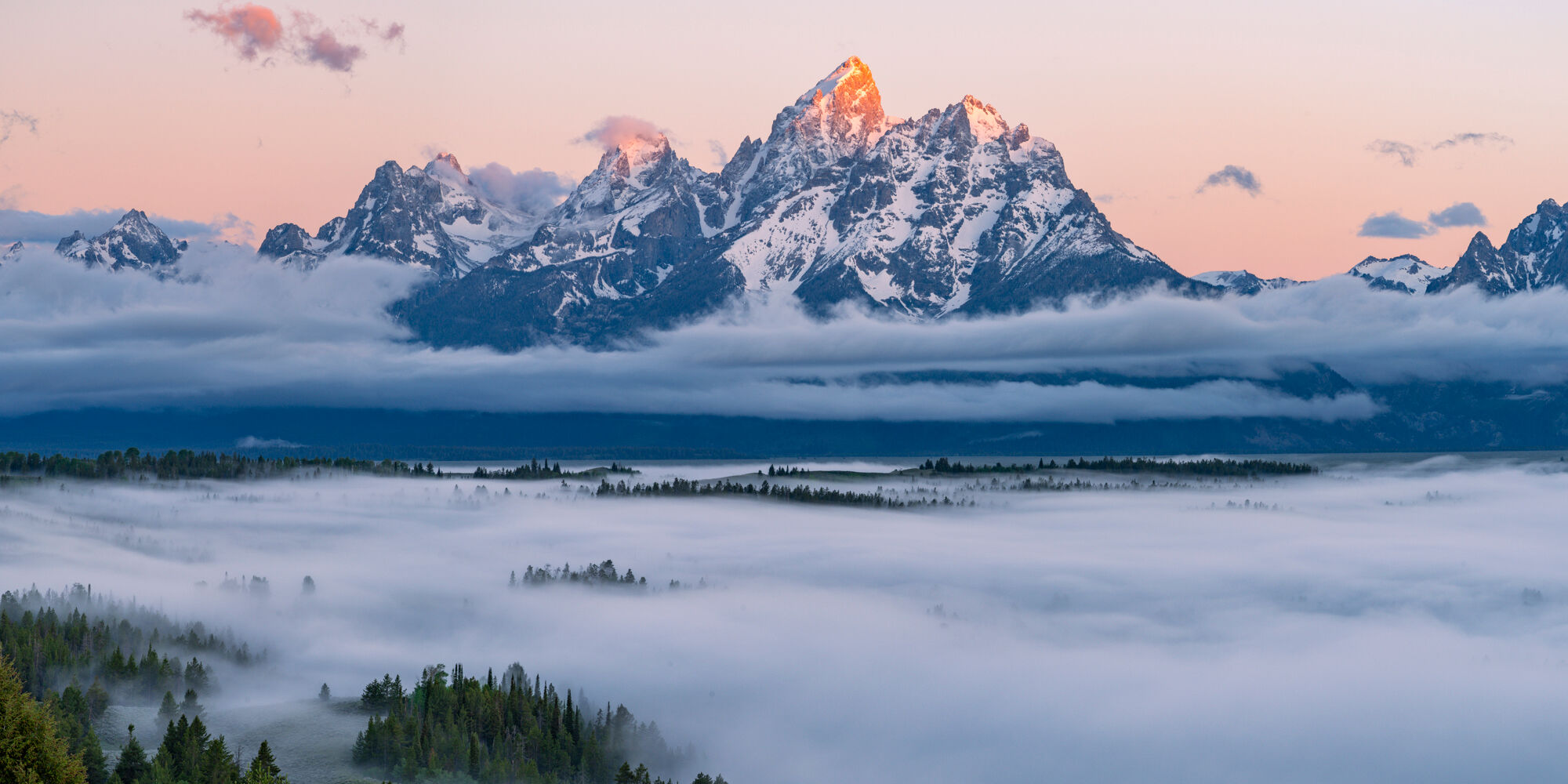 Above the Fog Above the Fog