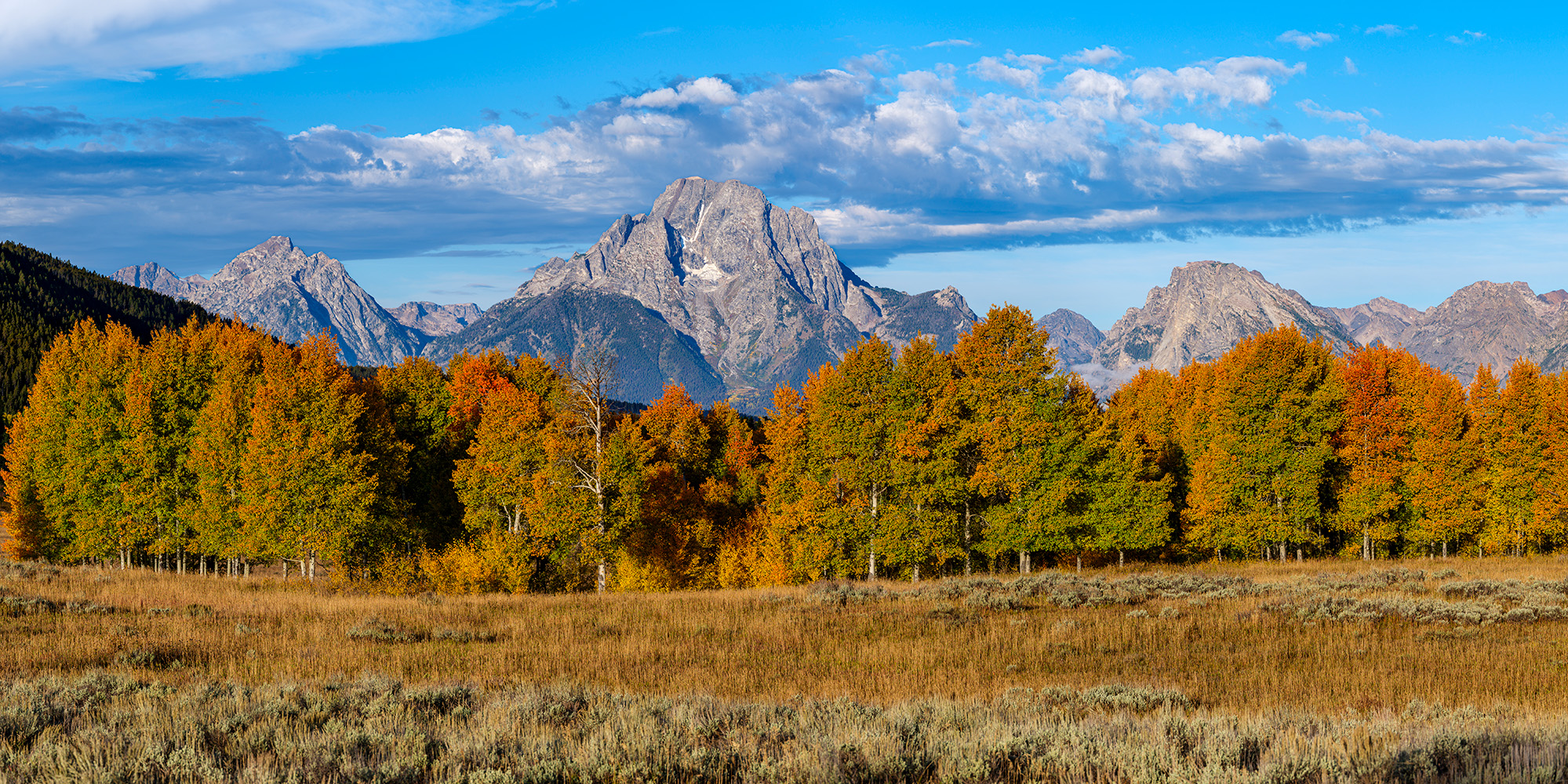 Shades of Autumn and Mount Moran