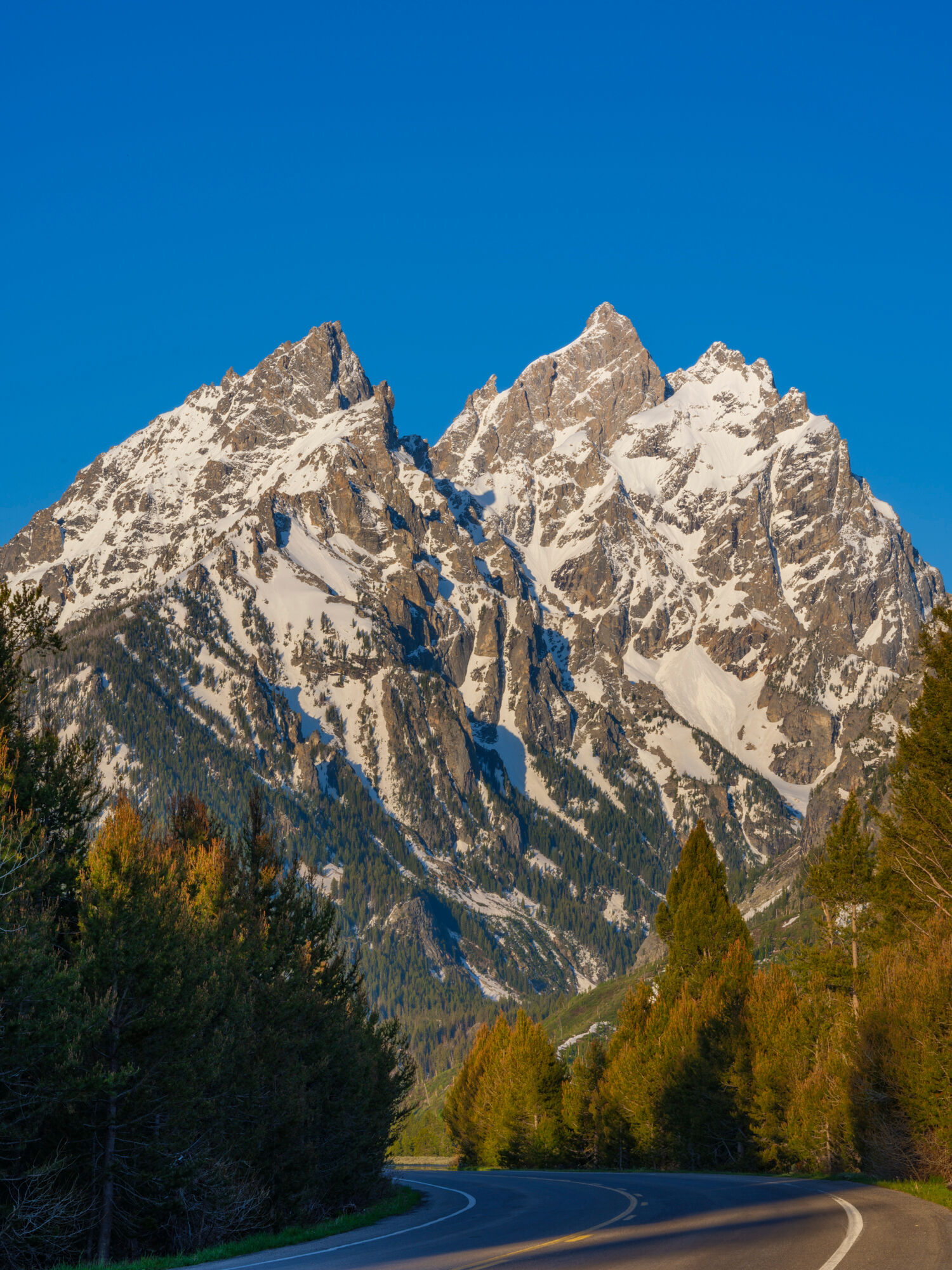 Grand Teton Cathedral Group #1