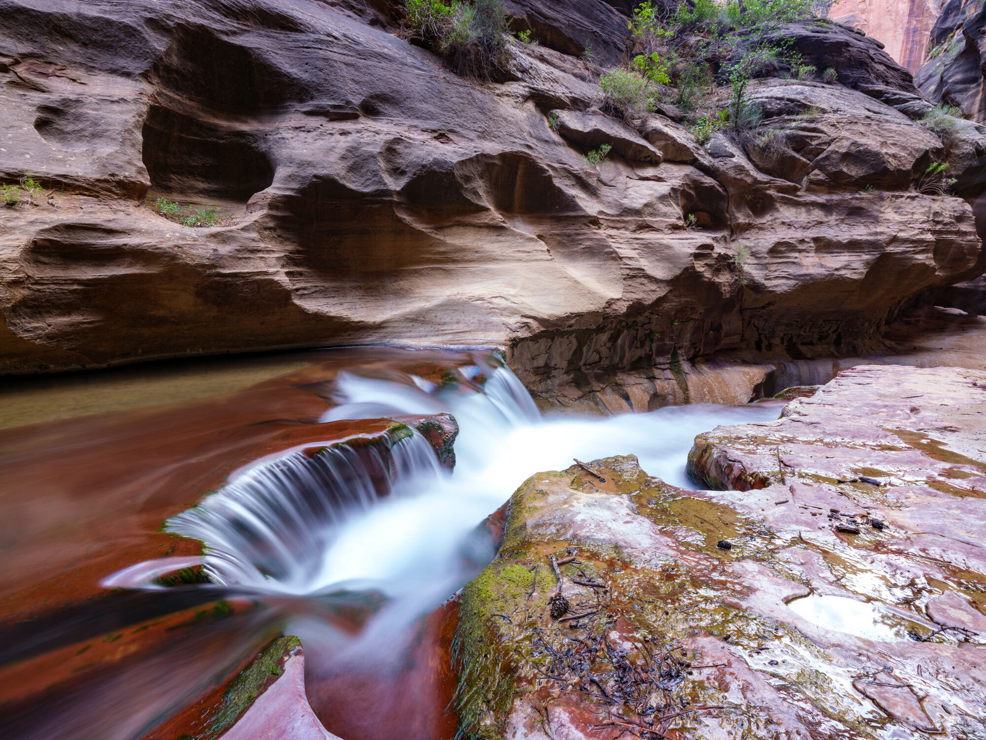 Labyrinth Falls #3 Labyrinth Falls #3