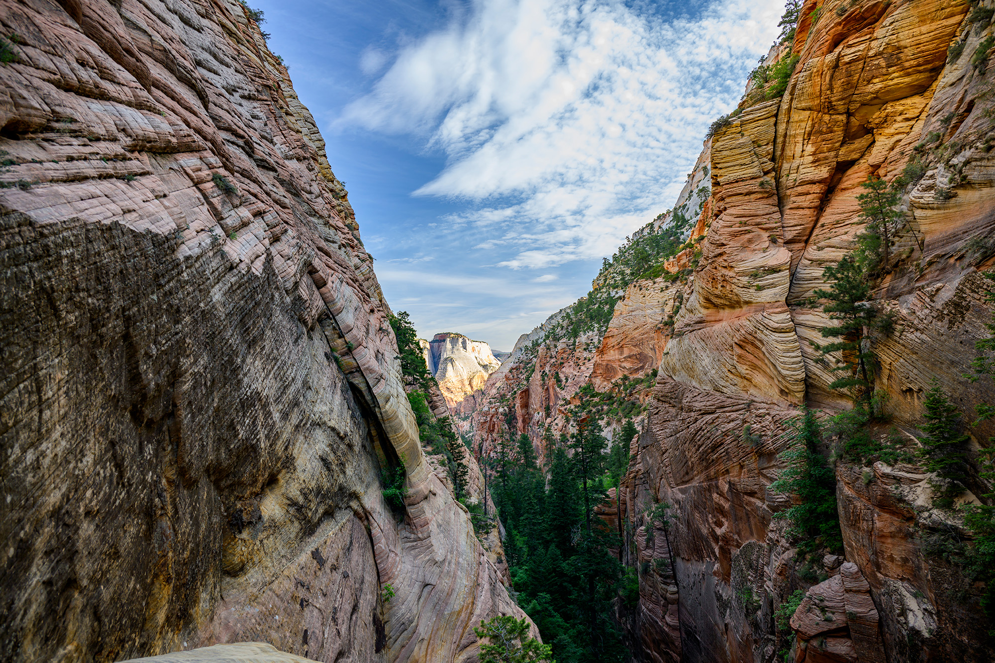 An array of colorful sandstone greeted me at the top of Lodge Canyon in Zion National Park.