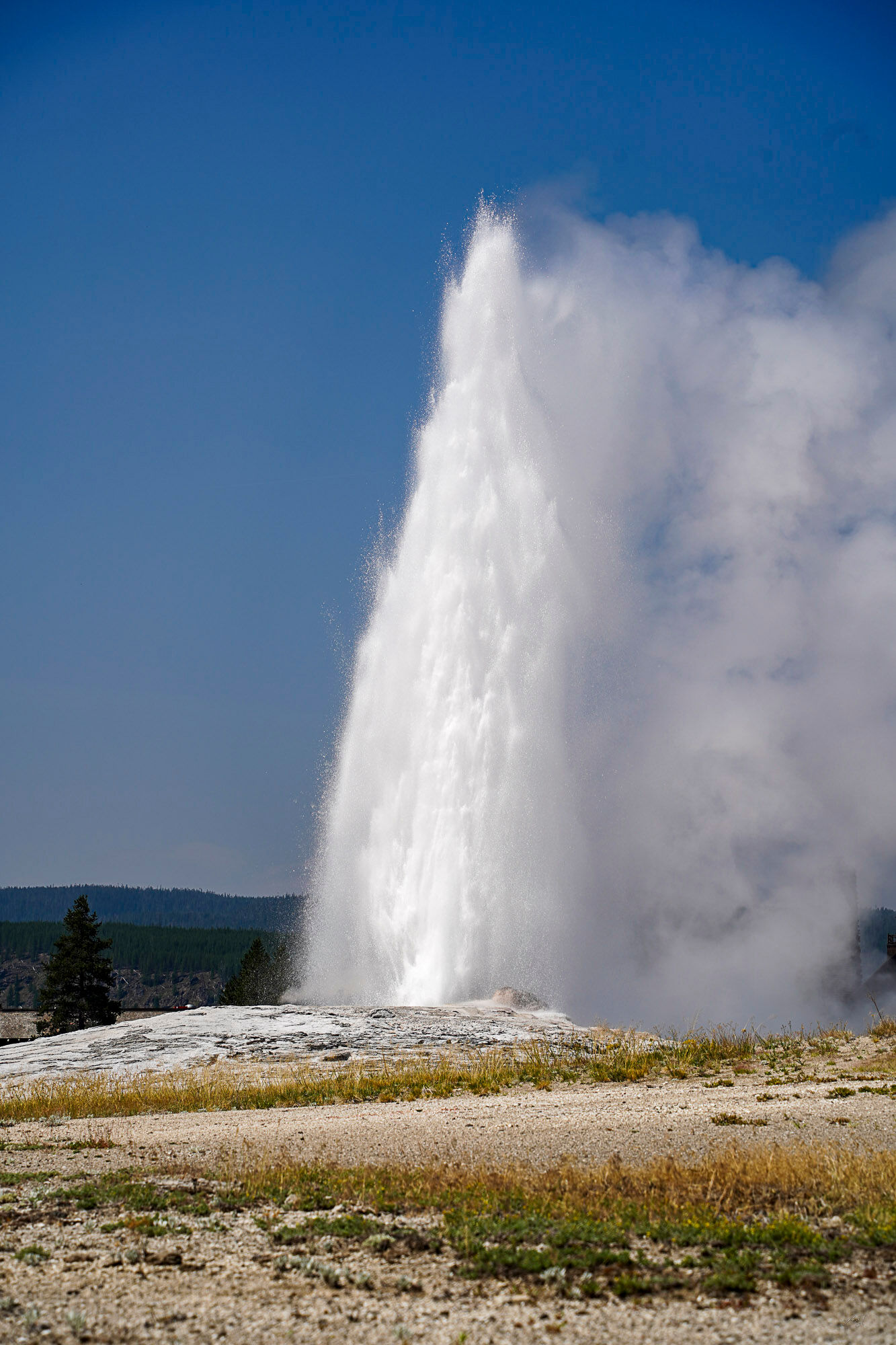 Old Faithful Old Faithful