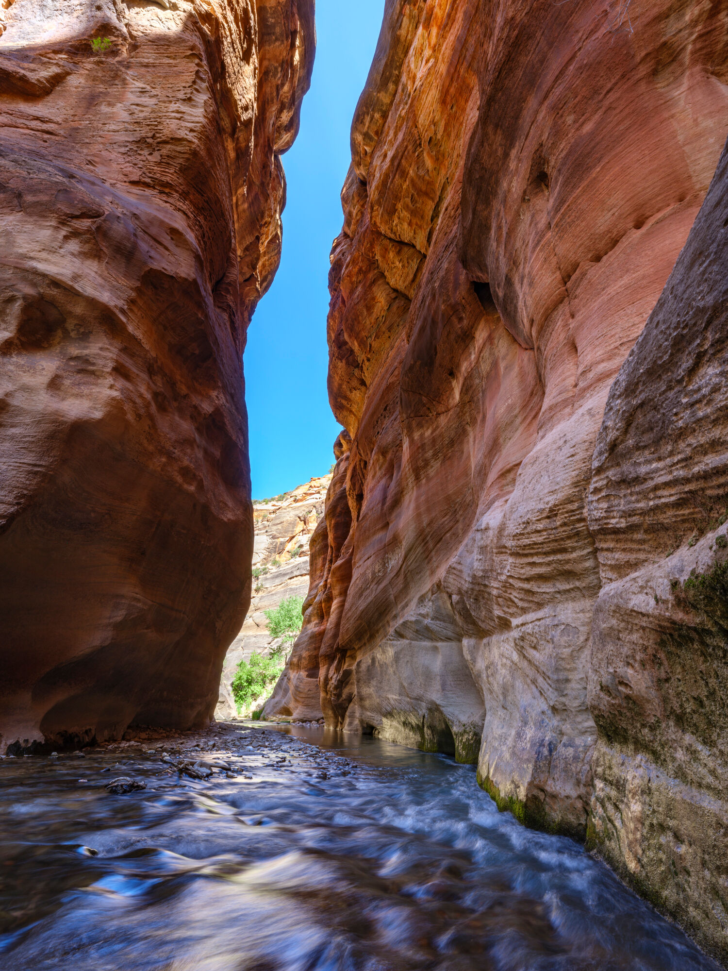 Parunuweap Canyon #1 Parunuweap Canyon #1