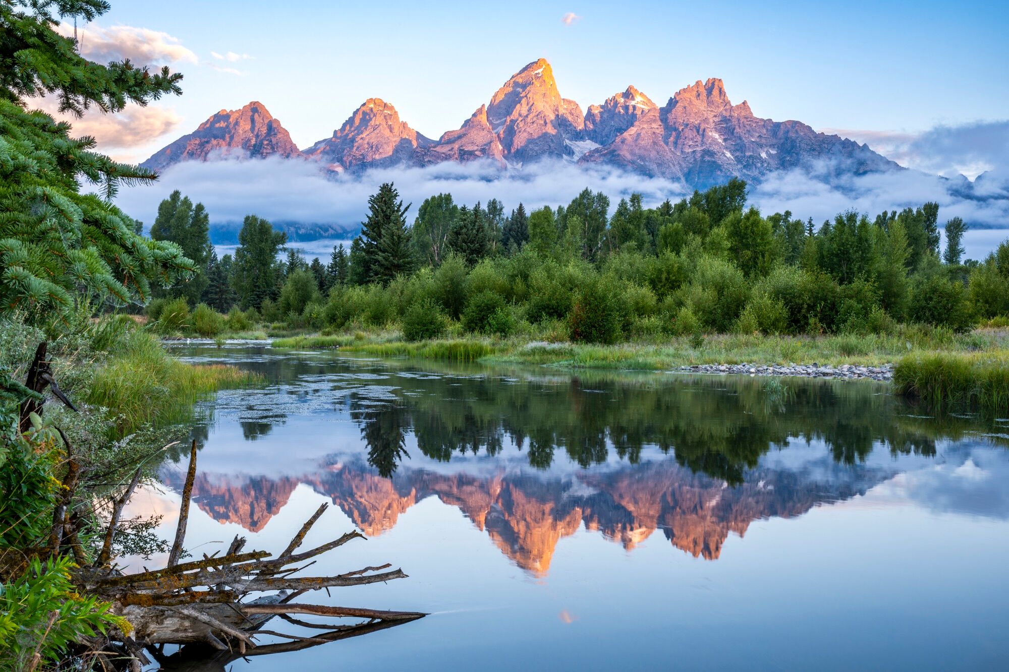 Peaceful Teton Reflection