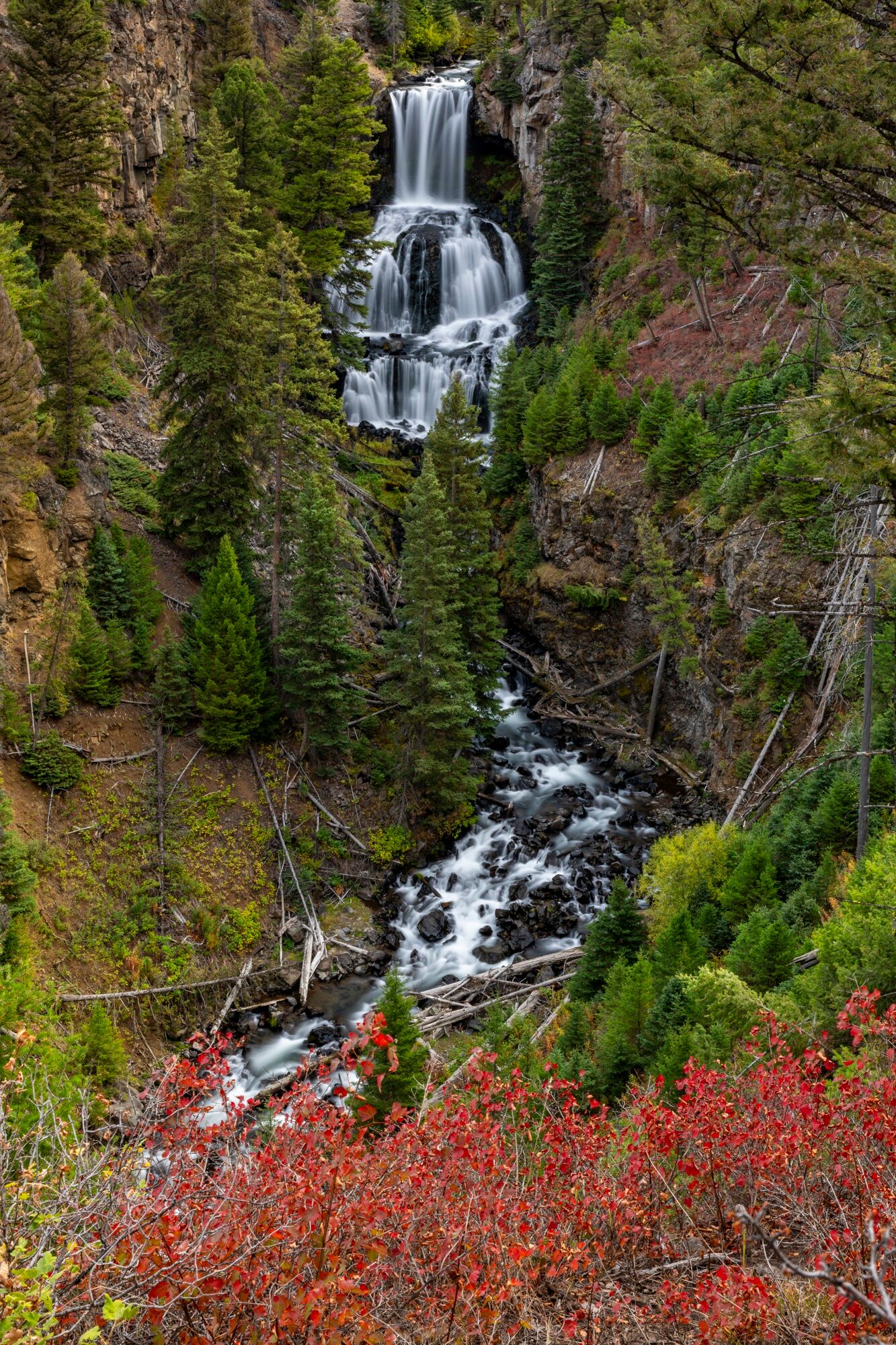 Undine Falls on Lava Creek, dropping approximately 60 feet, is one of the gems of Yellowstone National Park. The name "Undine...