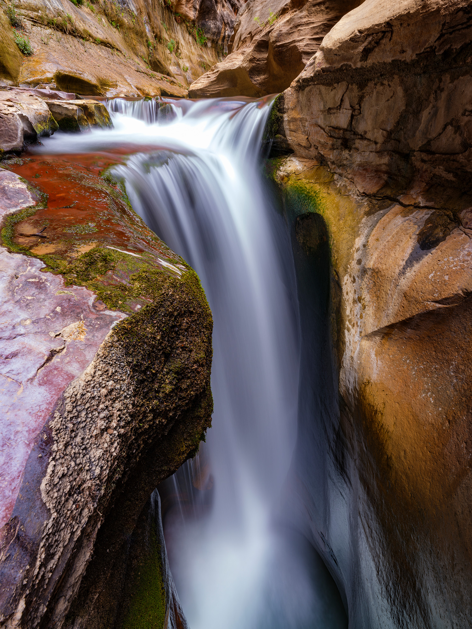Labyrinth Falls At the end of the accessible portion of Parunuweap Canyon lies this most spectacular waterfall. The last section of this canyon...